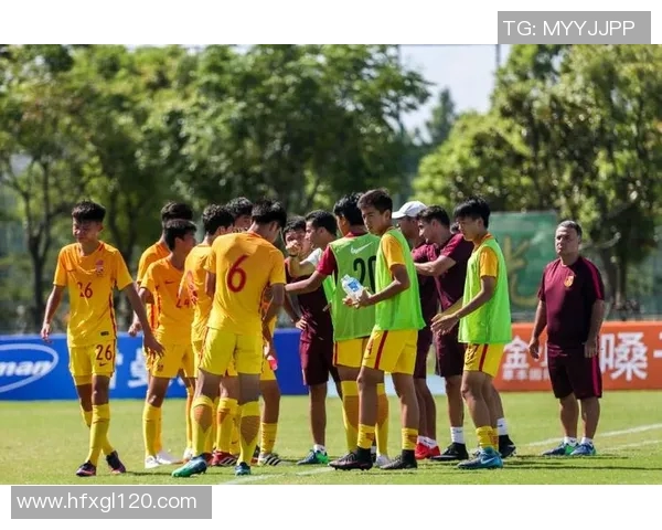 上海排球队灵活性探讨：技战术创新与团队协作的完美结合