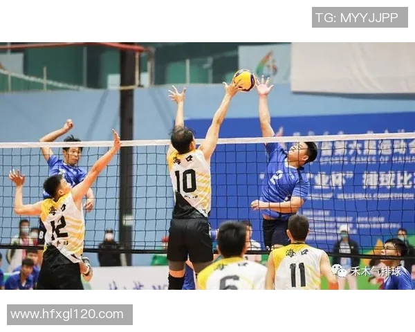 深入探讨杭州篮球队的配合表现与战术分析及其对比赛结果的影响