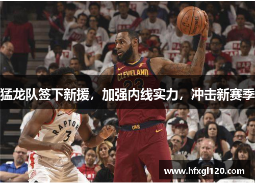 猛龙队签下新援，加强内线实力，冲击新赛季